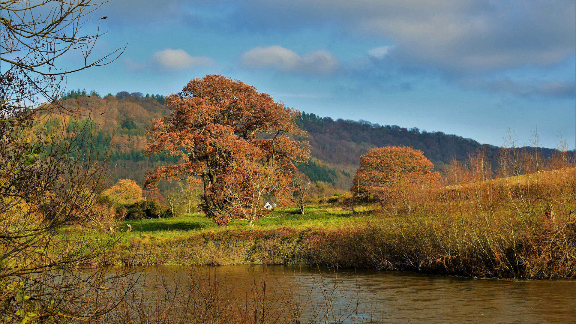 Leaf Peeping @PaulBennel